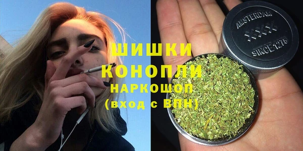 индика Усмань