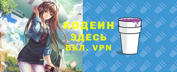 индика Усмань